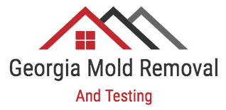 Georgia Mold Removal & Testing